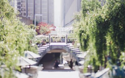 Reflections on systems, cultural intelligence, mediation and institutional leadership