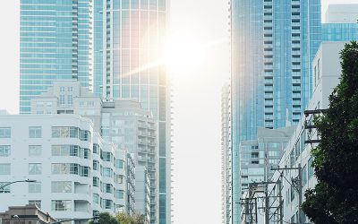 Examine the structures that shape behaviour