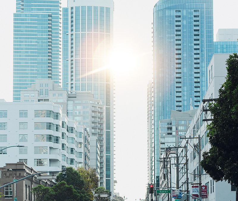 Examine the structures that shape behaviour